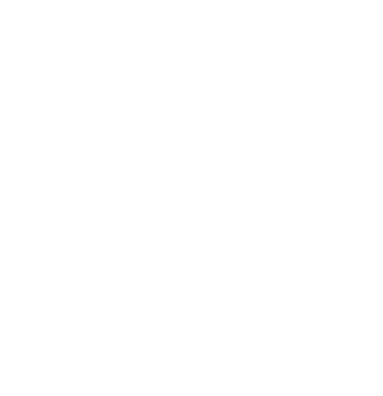 Kreisfeuerwehrverband Schmalkalden-Meiningen e.V. - Koordiniert die Aktivitäten und Veranstaltungen der Feuerwehr - Dokumentensymbol